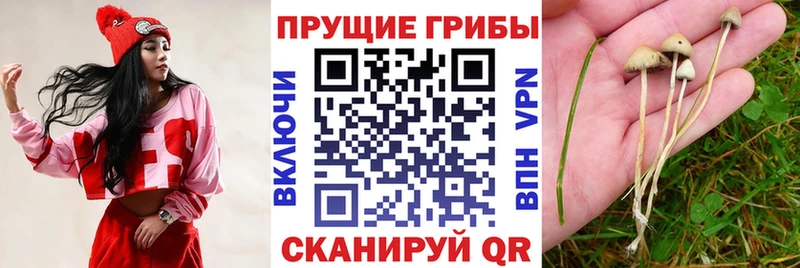Галлюциногенные грибы мухоморы  Верхняя Тура 